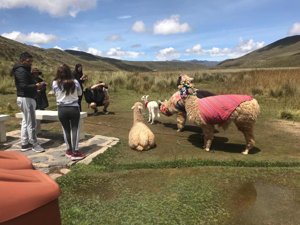 Amazing Huaraz Panzió Kültér fotó