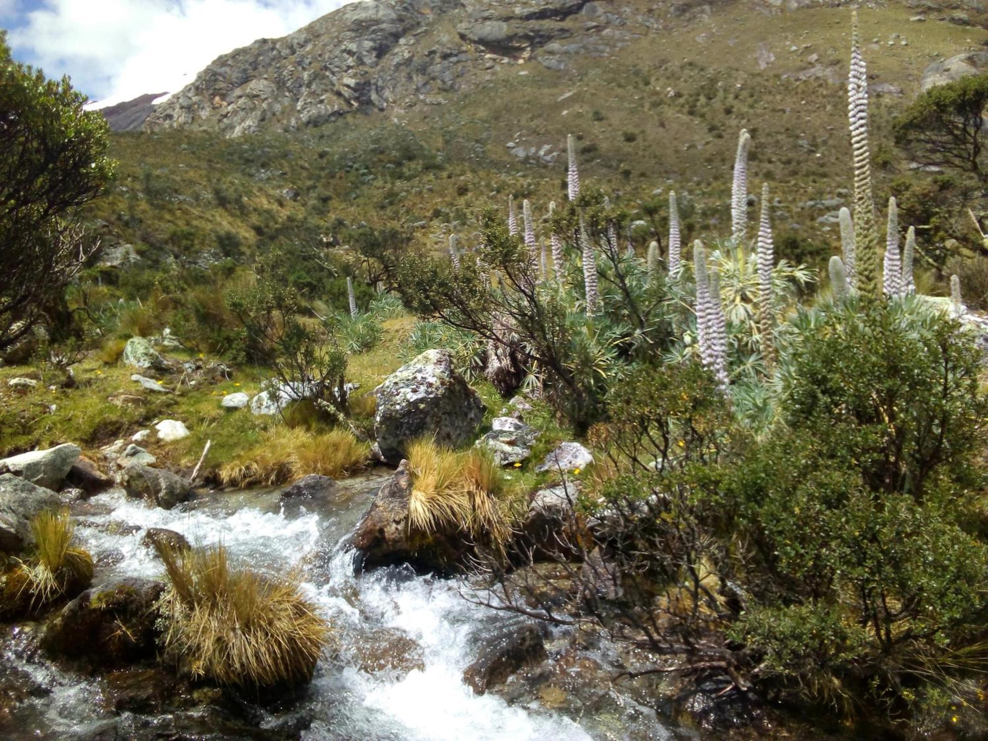 Amazing Huaraz Panzió Kültér fotó