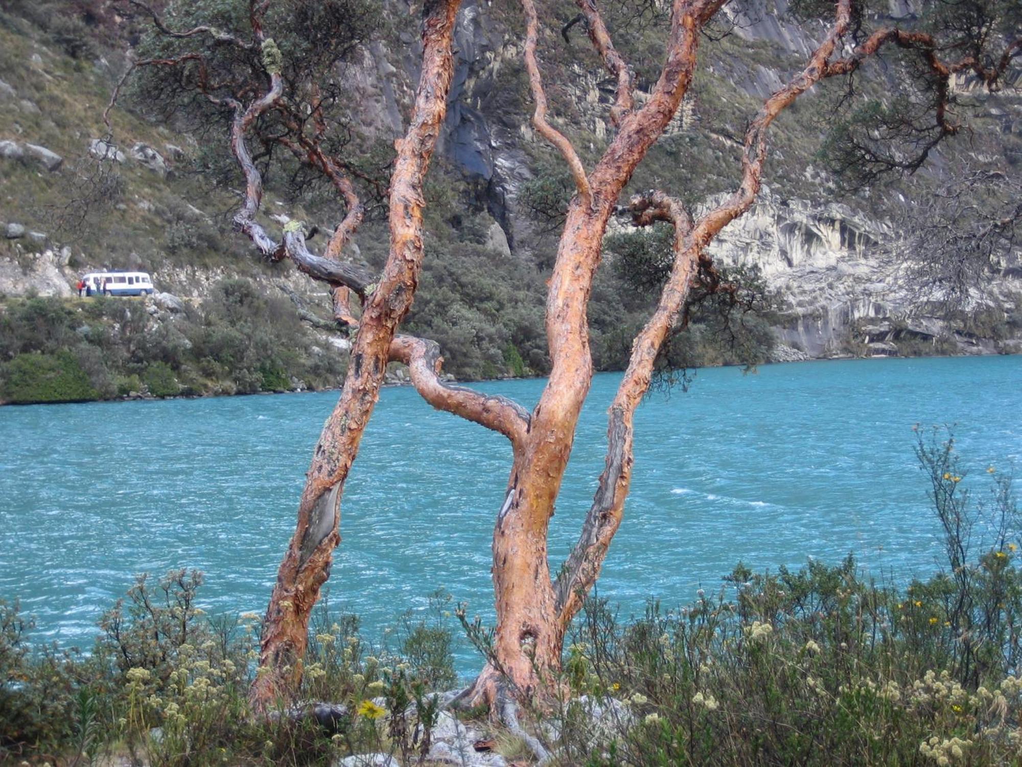 Amazing Huaraz Panzió Kültér fotó